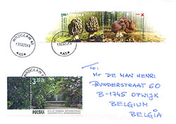 Cover Poland