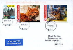 Cover Poland