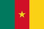 Cameroon flag