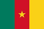 Cameroon flag