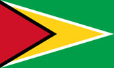 Guyana flag