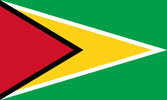 Guyana flag