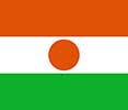 Niger flag