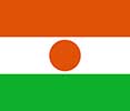 Niger flag