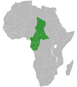 CFA Central African States