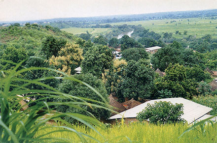 Postcard Guinea front