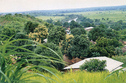 Postcard Guinea front