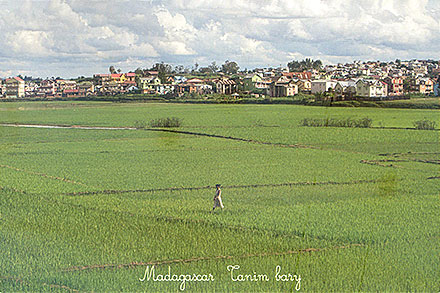 Postcard Madagascar front