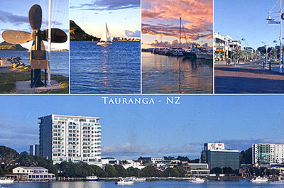 PostcardNew Zealand front