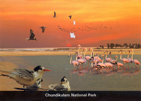 Postcard Sri Lanka front