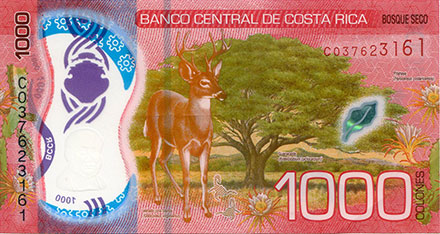 Banknote Costa Rica back